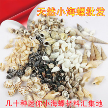 �Q����ȻС����ؐ���������ݰ����� DIY�ֹ������b��~�׵�̨�b