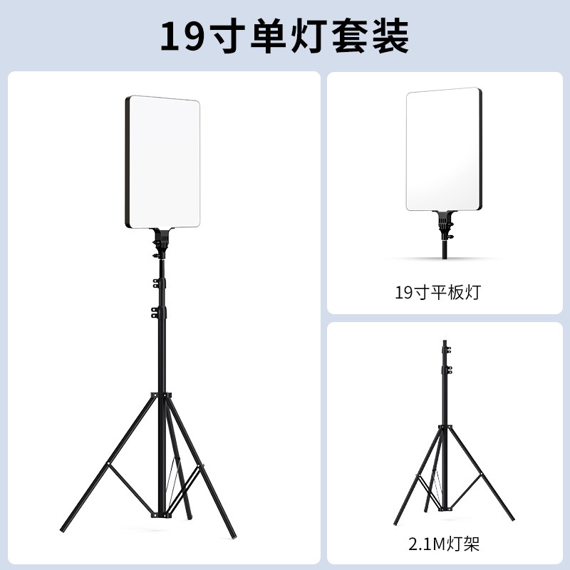 アナウンサーが生中継して光を補充して撮影します。|undefined