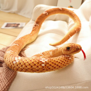 ���R�d�羳ë�q�����������ߴ�̖�������˵����Ɍ����������ż
