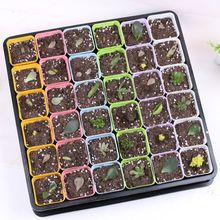 �Ӻ������С�ڷ���������P�����������бP�~�����ռ{�����b����