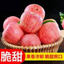 陕西苹果红富士脆甜10斤5斤3斤水果新鲜不打蜡带皮吃整箱批发