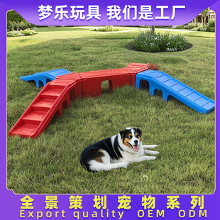 Stainless Steel Amusement Facilities, Community Prodigy Outdoor Plastic Kindergarten Large Pet Cat and Dog Combination Slide
