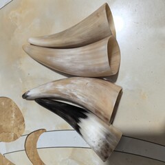 十四センチから二十センチの長牛角筒牛角抜火缶牛角スクレーパー各種牛角櫛