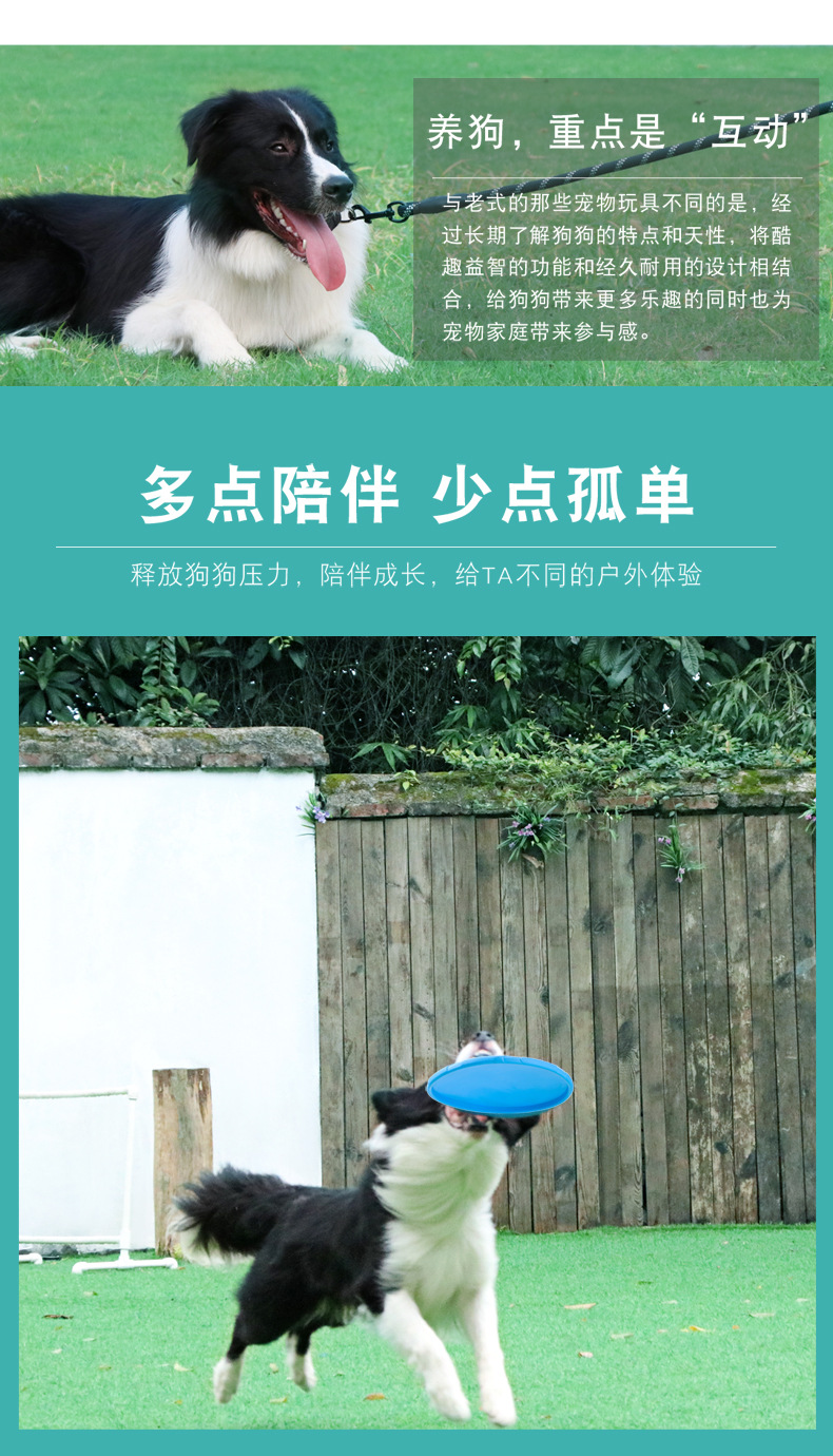 狗狗飞盘_02.jpg