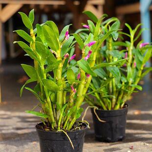 �������B����ʯ���m�ۻ��l�玧�����m������l؛���Ժ��B��