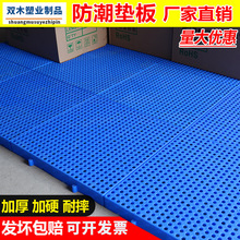 加厚仓库狗笼网格塑料防潮垫板超市冷库狗笼物流隔水可拼接防潮板