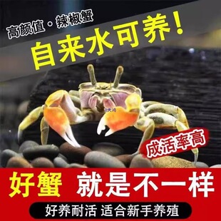 ��������з�~���^�p����С�з������B��ˮ���������r���w���Bз