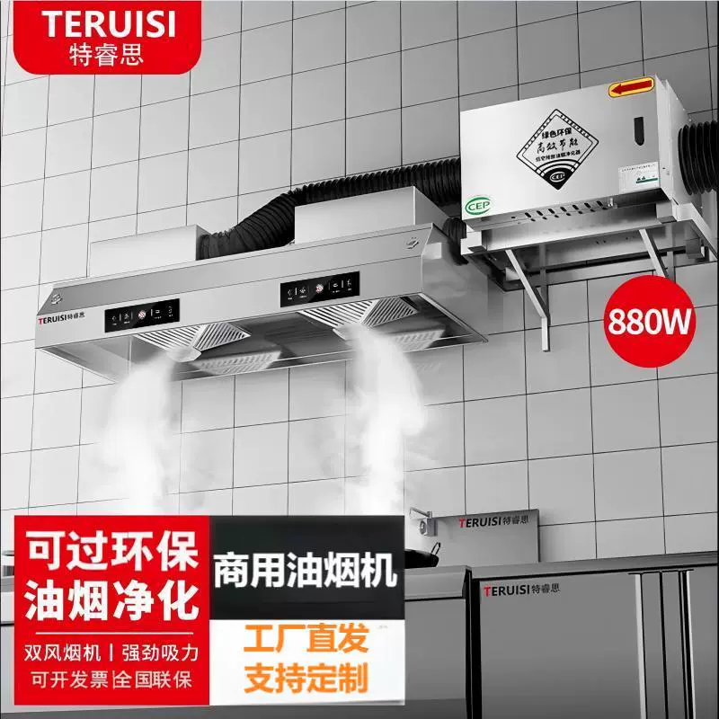 特睿思商用大风量油烟机饭店炸鸡餐饮低空排放环保油烟净化一体机