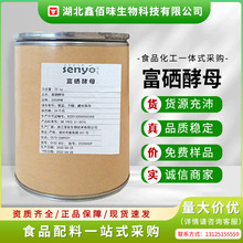 ����������ĸ���t��ĸ���\��ĸ�I�B�������I�B��ĸ���t�\����ĸ