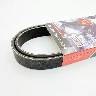 RM4/K24V6 15-17 CRV – Belt