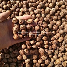桃核雕刻料寺庙朱砂桃核胡桃文玩散籽颈椎枕头拍打袋原料饰品手链