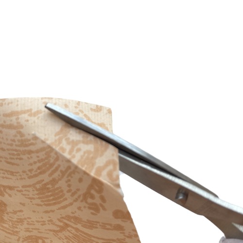 Japanese style ins style handbook art scissors, simple frosted handle art scissors, high appearance, fully transparent BH056