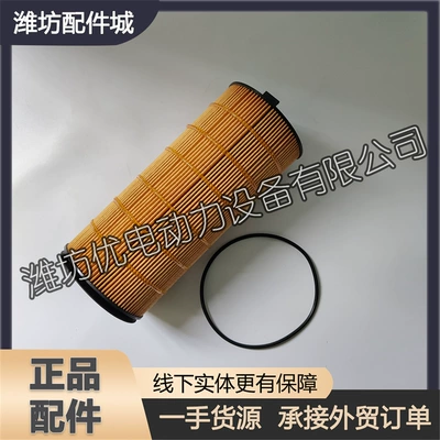 grid, Oil filter