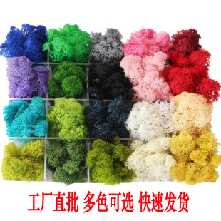 ������̦�\500g���a�o�s�|A������DIY�Ҿ��b���ı������Y���Y��