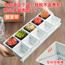 �羳���P�ظ����⻨���������b�M�τ���͸����������������бPС