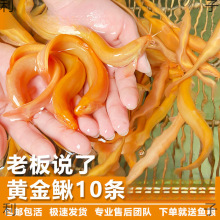 ~ˮ~~С~Sq^p~q絭ˮ~