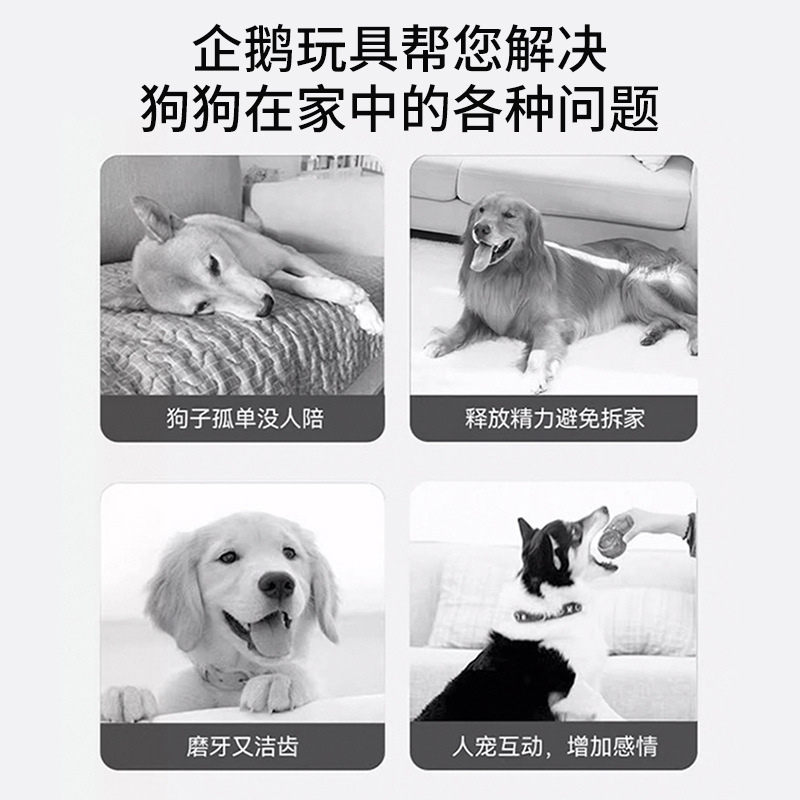 Juguetes de sonido para perros para mascotas