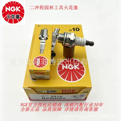 NGK Spark Plug Authorized Dealer 2218 BPMR8Y Suitable for Garden Lawn Mowers, Chainsaws, Hedge Trimmers HQT2 (Alışdırma şamı (Sveçalar))