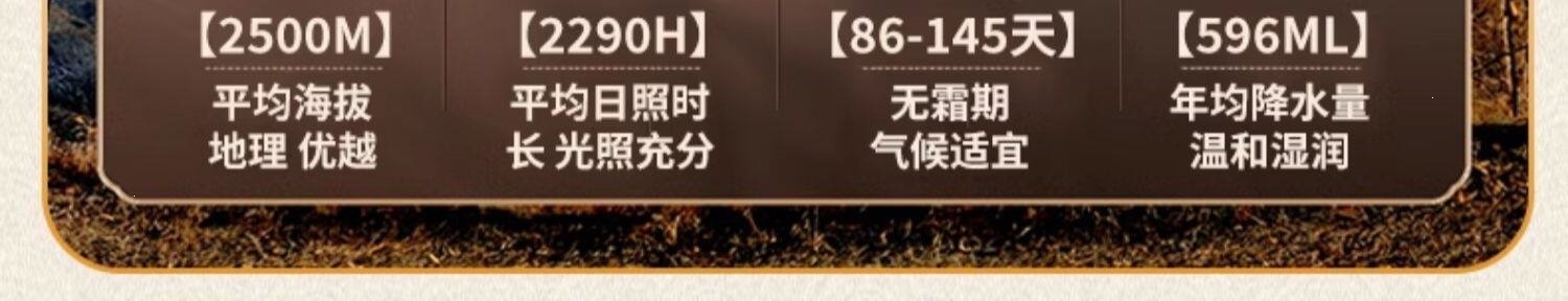 Dried Phellodendron Bark Thin Strips Huang Bai 100g Natural Bulk Raw Herb for Decoction and Tea quality and texture