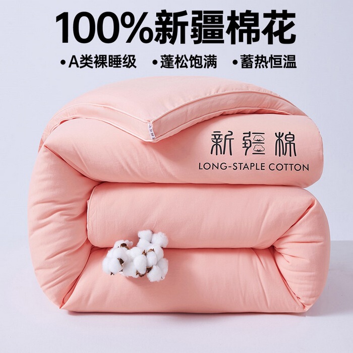 a类100%新疆棉花被加厚保暖冬被春秋被纯棉被芯家用学生四季被褥|undefined