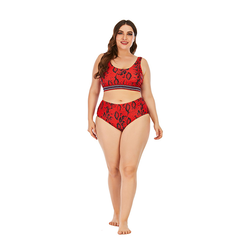 plus size sleeveless snake print Tankini two-piece set NSVNS117883