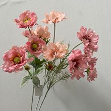 c滨5^ľȻY·廨bٻֹ5^ľ޻