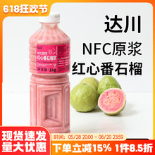达川NFC红心番石榴原浆冷冻红芭乐非浓缩果汁咖啡奶茶店茶饮原料