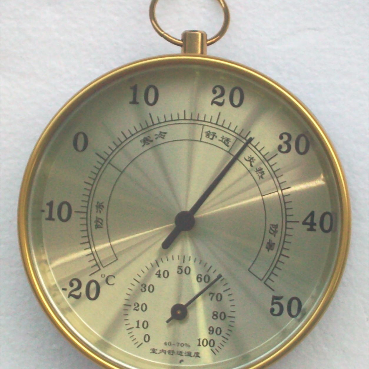 TH9100-10CMֱ����ʪ�ȼƣ����İ����ɫ