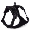 A big dog with a big dog chest straps traction rope outdoor walking dog anti -free dog chest and back