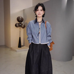 条纹衬衫女短款上衣秋季2025新款宽松百搭高级感小个子衬衣外套