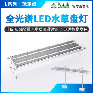 ��Ʒ���������b����P �~��RGB LED���r�{�����Pˮ�ݟ�Lϵ��