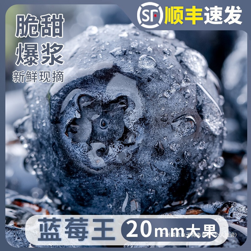 Freshly Picked High Mountain Blueberries with Floral Aroma, Premium Quality from Yunnan, Whole Box of Seasonal Fresh Fruit, Large-Sized Blueberries Freshly Picked High Mountain Blueberries with Floral Aroma, Premium Quality from Yunnan, Whole Box of Seasonal Fresh Fruit, Large-Sized Blueberries