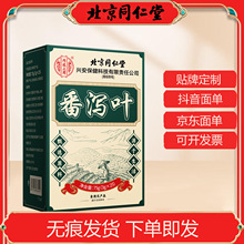 番泻叶北京同仁堂内廷上用独立茶包便茶通秘茶代发批发