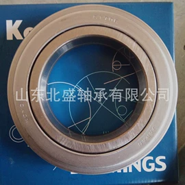 圆柱滚子轴承;圆锥滚子轴承;其他滚动轴承