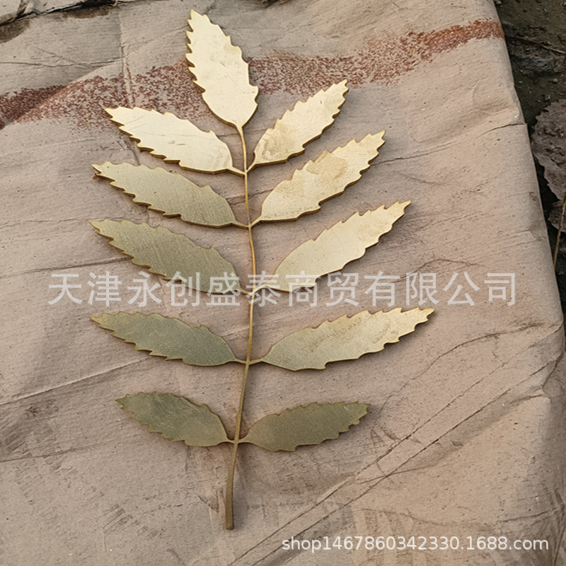 大量现货h62黄铜板 600*2000装饰黄铜板  激光切割雕刻黄铜板