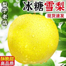 ѩ���������ںӱ��w�h���rˮ����֭���5������10 ����]����ѩ��