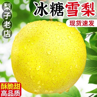 ѩ���������ںӱ��w�h���rˮ����֭���5������10 ����]����ѩ��