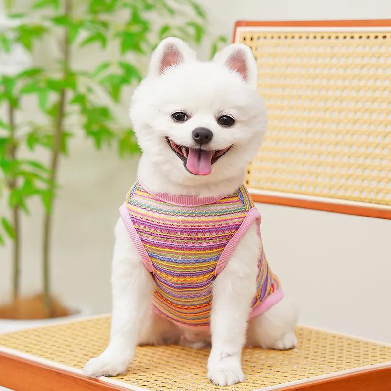 Mascotas de verano nueva ropa de chaleco de color hueco lindo que oso Teddy gato azul perro delgado y corto