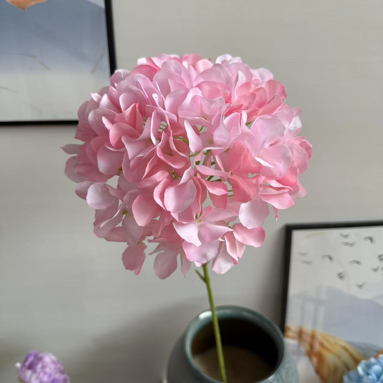 单支绣球1.8粉色