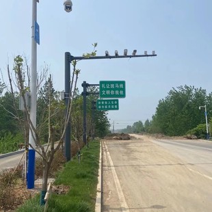 Manufacturer Wholesale L-Shaped Cantilever Surveillance Pole Bayonet Camera Surveillance Pole Hot-Dip Galvanized Octagonal Pole Surveillance Plum Blossom Lighting