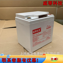 �����Դ��늳�6-FM-24/12V24AH�U����S�oֱ����UPS�������C