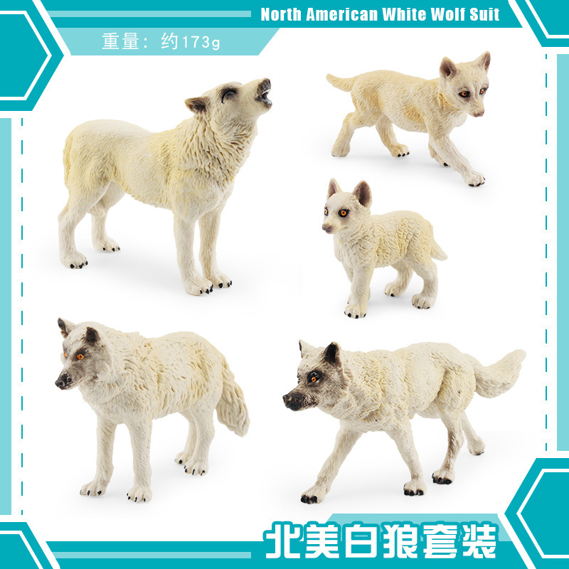 5 Lobos Blancos de América del Norte 173g
