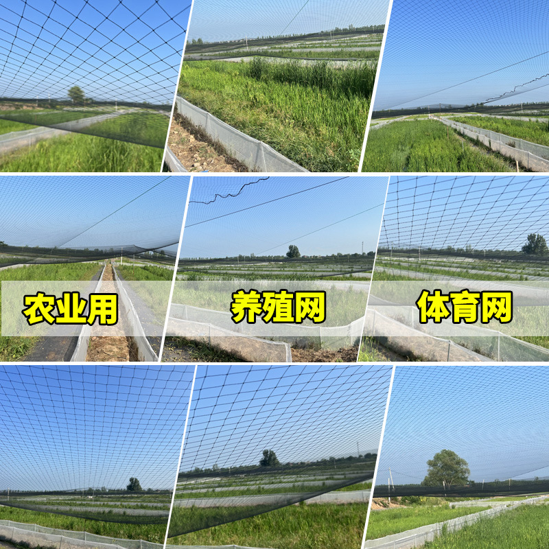 O1CN01ifx1uy2FDWWCDK8Fe_!!3368