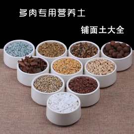 肉肉盆栽铺面石火山石营养土养花通用铺面介质园艺栽培基质泥炭土