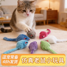 ë�q��������С���؈������С��ߏS�����l�羳��؛��ҧĥצ��ҧ