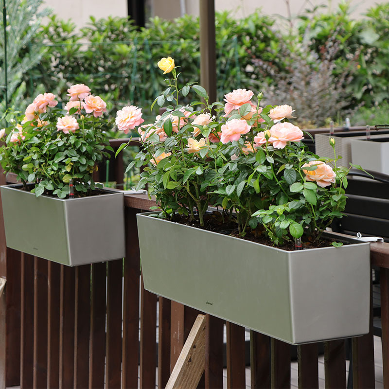 Laizhixiu perezoso maceta rectangular pintura resina balcón automático absorbente plástico perezoso maceta al por mayor