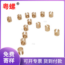 �ǘ˻����S�~���b�i���{У���lԡ�����P �Ҿ�/���I�O��