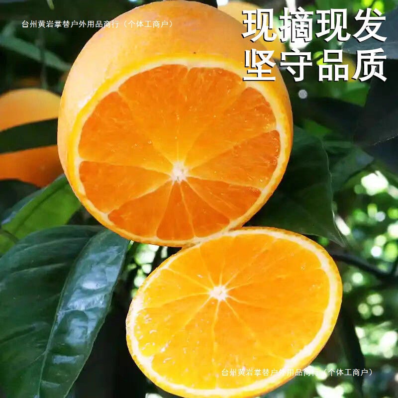 送料無料 広西夏オレンジ 桂林新鮮オレンジ 甘酸っぱいジューシーな季節の妊婦向けフルーツ ノンウォーガン氷砂糖オレンジ ブラッドオレンジ|undefined