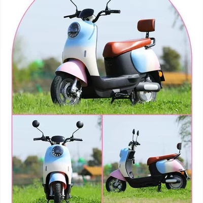 Eyelash Turtle Electric Motorcycle 60V Two-Wheel Electric Bicycle Available for Cross-Border Supply to Southeast Asia E-Bike Factory (Elektrikli motosikletlər)