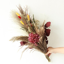 ���������߹����̽����JȔ�ɻ������߼���¡�ظɻ������b�